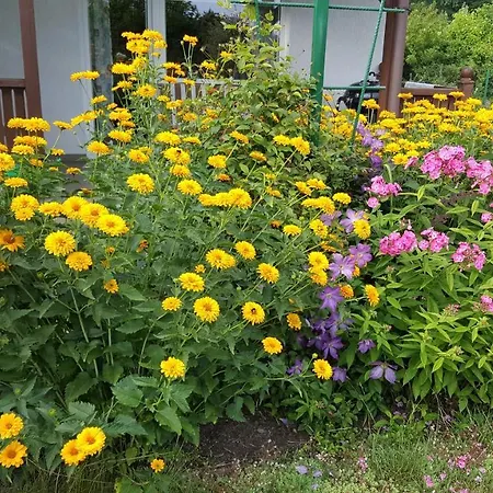 Nad Jeziorem Bystrzyna Domek letniskowy Świdwin