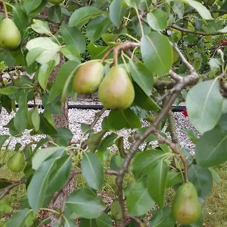 Nad Jeziorem Bystrzyna Domek letniskowy Świdwin