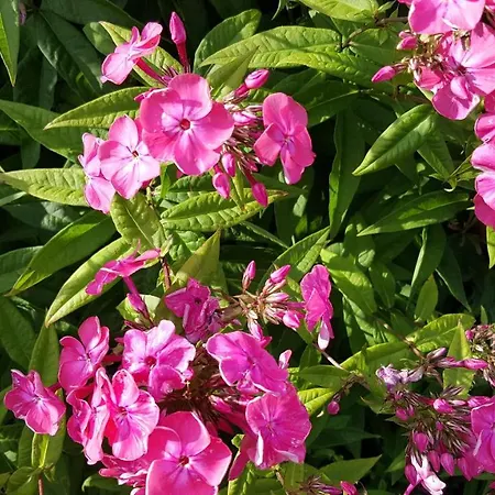 Domek letniskowy Nad Jeziorem Bystrzyna *