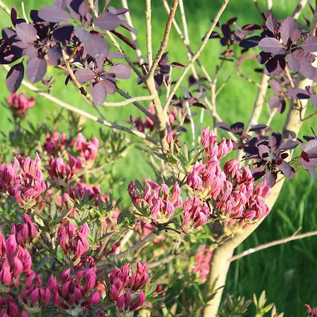 Nad Jeziorem Bystrzyna * Świdwin