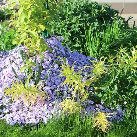 Nad Jeziorem Bystrzyna Domek letniskowy Świdwin