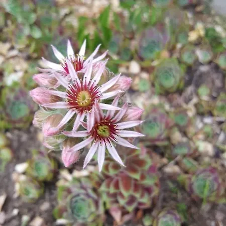 Domek letniskowy Nad Jeziorem Bystrzyna