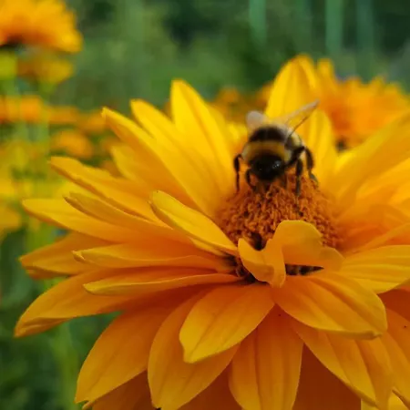 Nad Jeziorem Bystrzyna * Świdwin