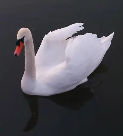 Domek letniskowy Nad Jeziorem Bystrzyna