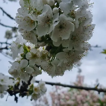 Domek letniskowy Nad Jeziorem Bystrzyna *
