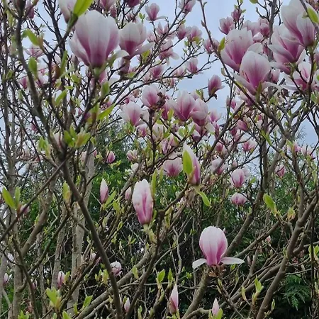 Domek letniskowy Nad Jeziorem Bystrzyna *