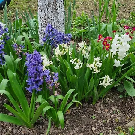 Nad Jeziorem Bystrzyna Świdwin