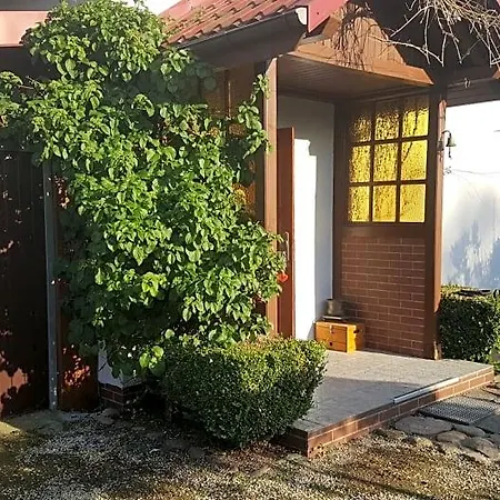 Nad Jeziorem Bystrzyna Lodge *
