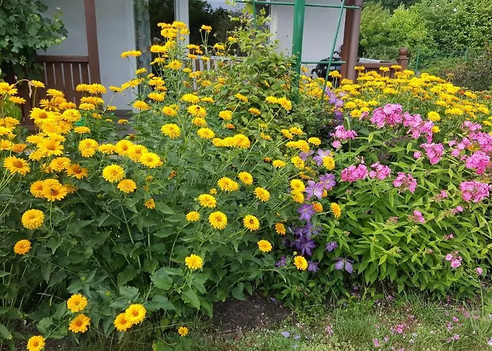 Nad Jeziorem Bystrzyna Domek letniskowy Świdwin