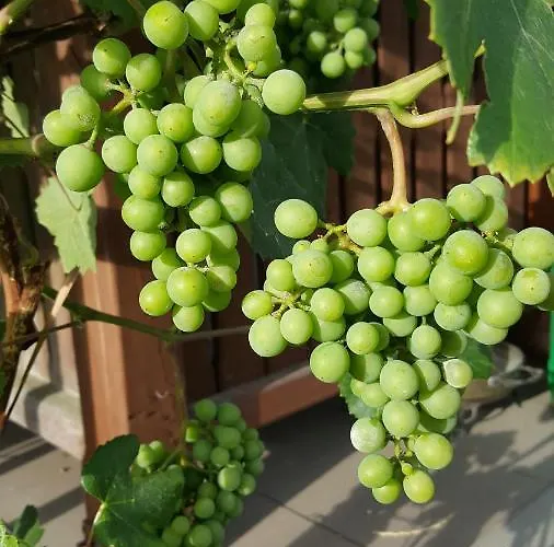 Nad Jeziorem Bystrzyna Świdwin