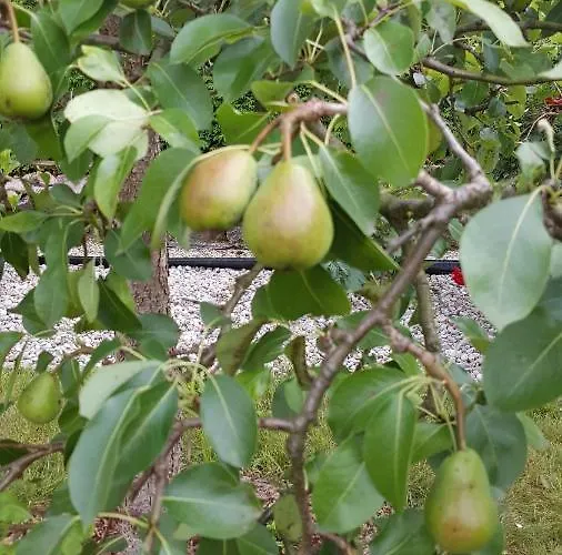 Nad Jeziorem Bystrzyna Domek letniskowy Świdwin