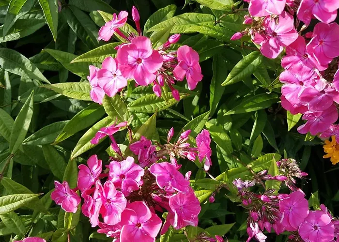 ロッジ Nad Jeziorem Bystrzyna *