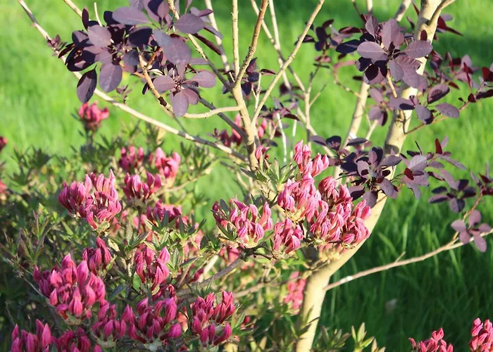 Nad Jeziorem Bystrzyna * Świdwin