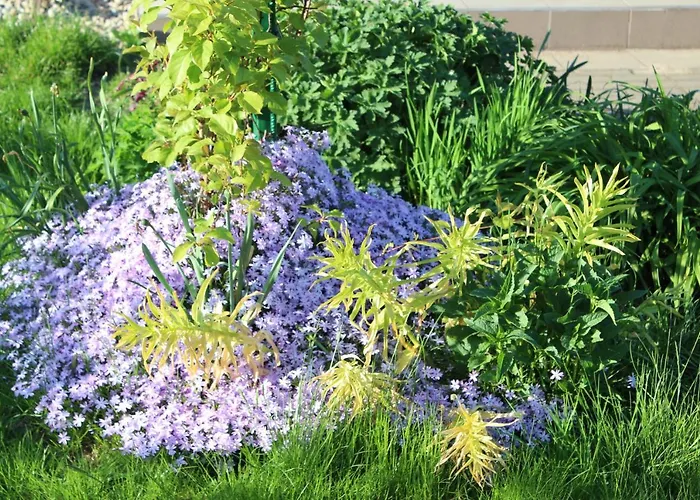 Nad Jeziorem Bystrzyna Domek letniskowy Świdwin