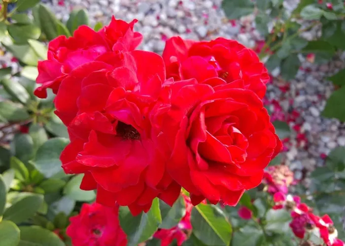 Domek letniskowy Nad Jeziorem Bystrzyna