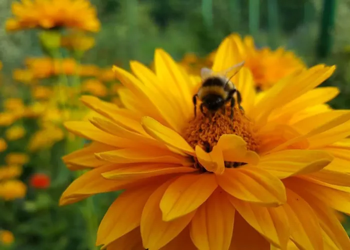 Nad Jeziorem Bystrzyna * Świdwin