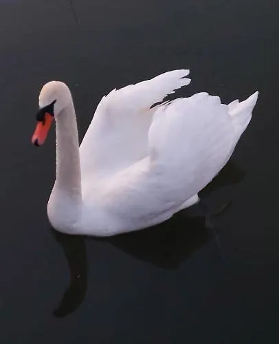 Domek letniskowy Nad Jeziorem Bystrzyna