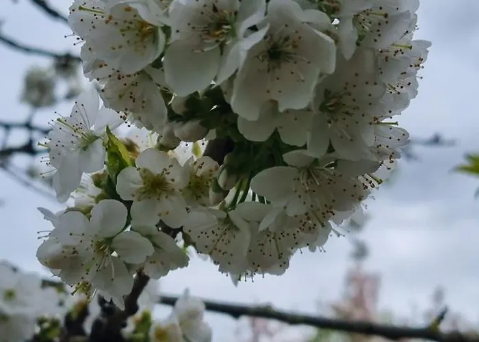 Domek letniskowy Nad Jeziorem Bystrzyna *
