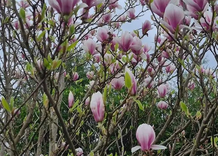 Domek letniskowy Nad Jeziorem Bystrzyna *